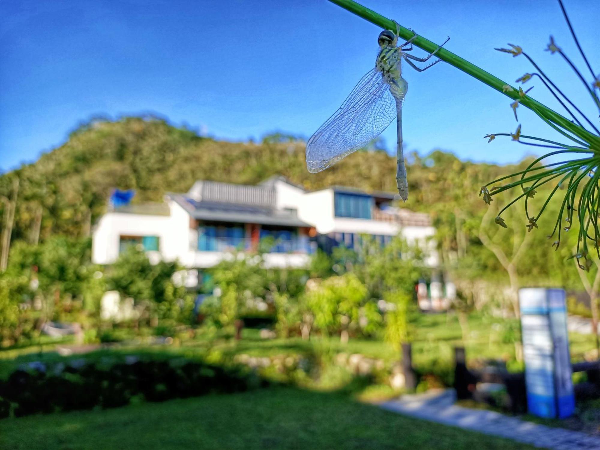 Roaming Cloud Sun Moon Lake B&B Yuchi Exterior foto