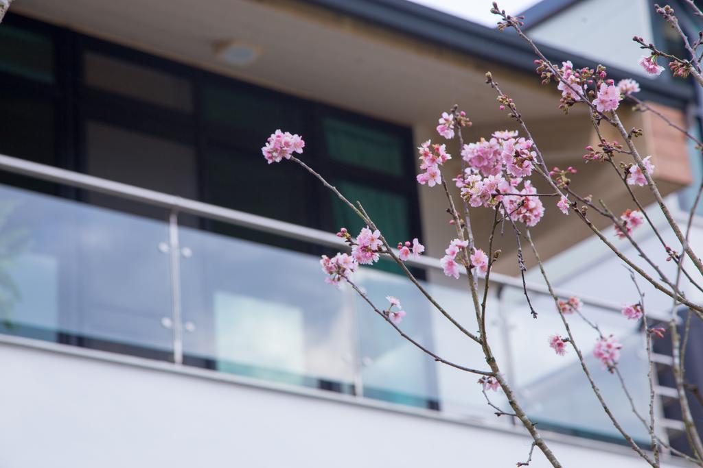 Roaming Cloud Sun Moon Lake B&B Yuchi Exterior foto